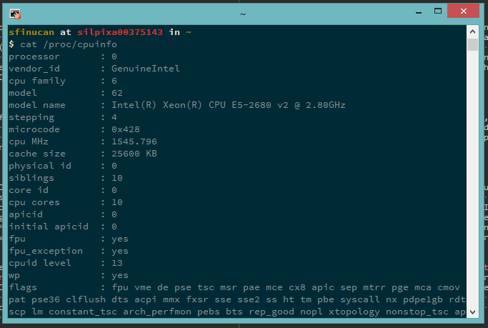 Screenshot showing output of /proc/cpuinfo